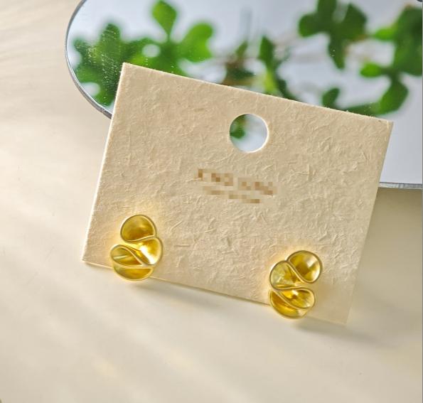 Delicate Fashion Stud Earrings-1