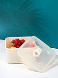 New series vacuum rectangle preservation box2050ml-white