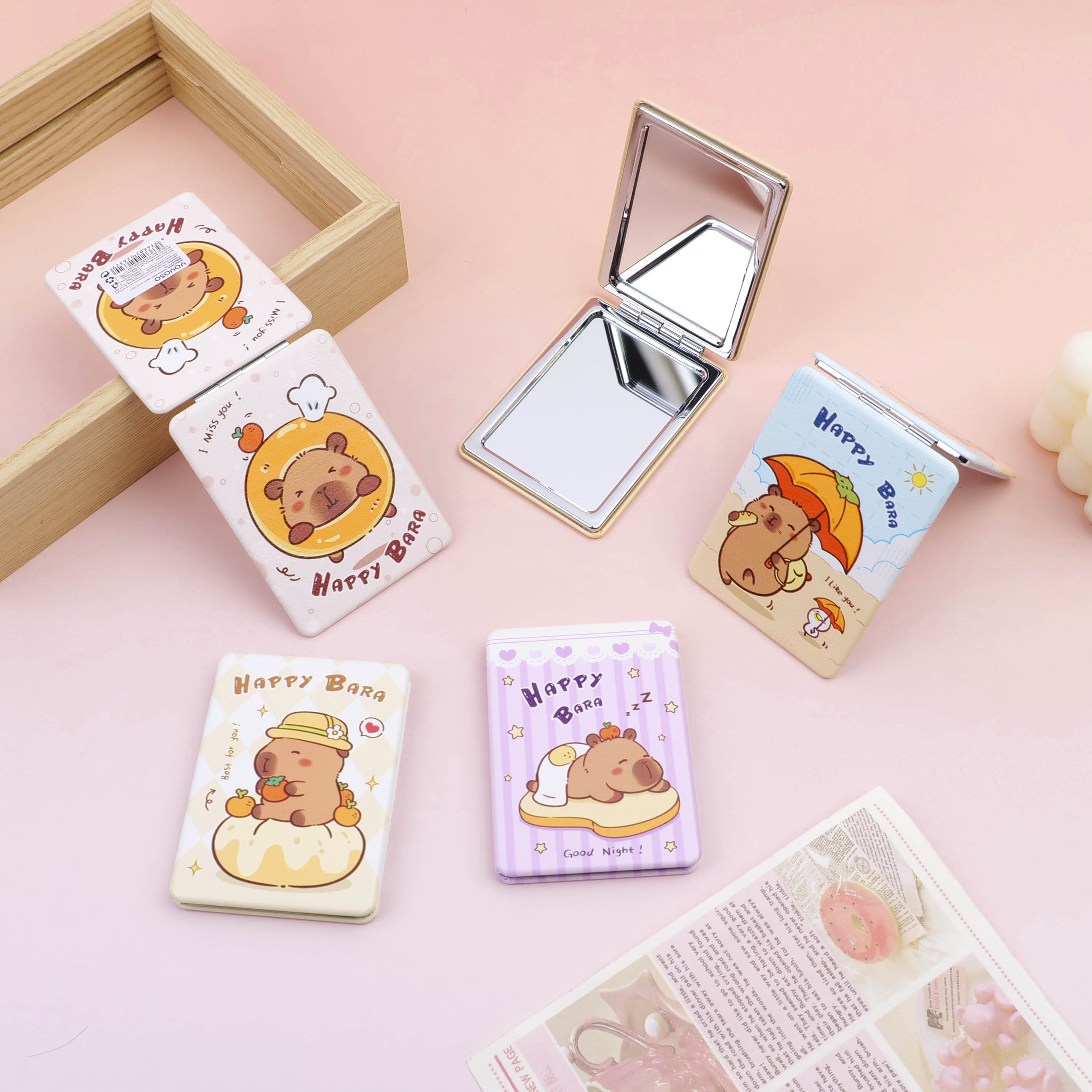 Capybara series- regular square mirror