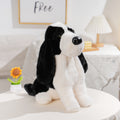 HY-MR8006 Black Long-Eared Puppy Plush Toy – 30cm