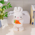 HY-MR8006 Happy Carrot Bunny - 30cm