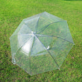 Fresh and beautiful transparent straight umbrella