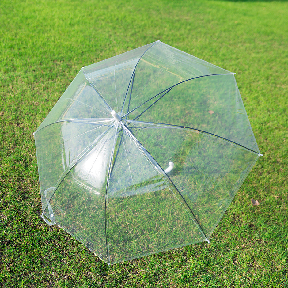 Fresh and beautiful transparent straight umbrella