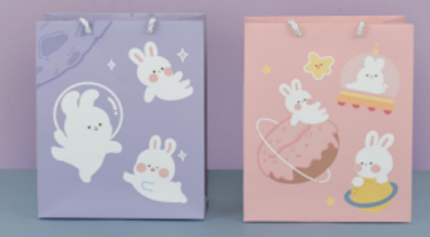 Gift Bag(LG-30651)