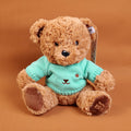TEDDY ISLAND dark colour sitting bear plush doll with blue sweater-25CM