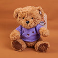 TEDDY ISLAND dark colour sitting bear plush doll with purple sweater-25CM