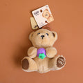 TEDDY ISLAND series sitting plush key chain