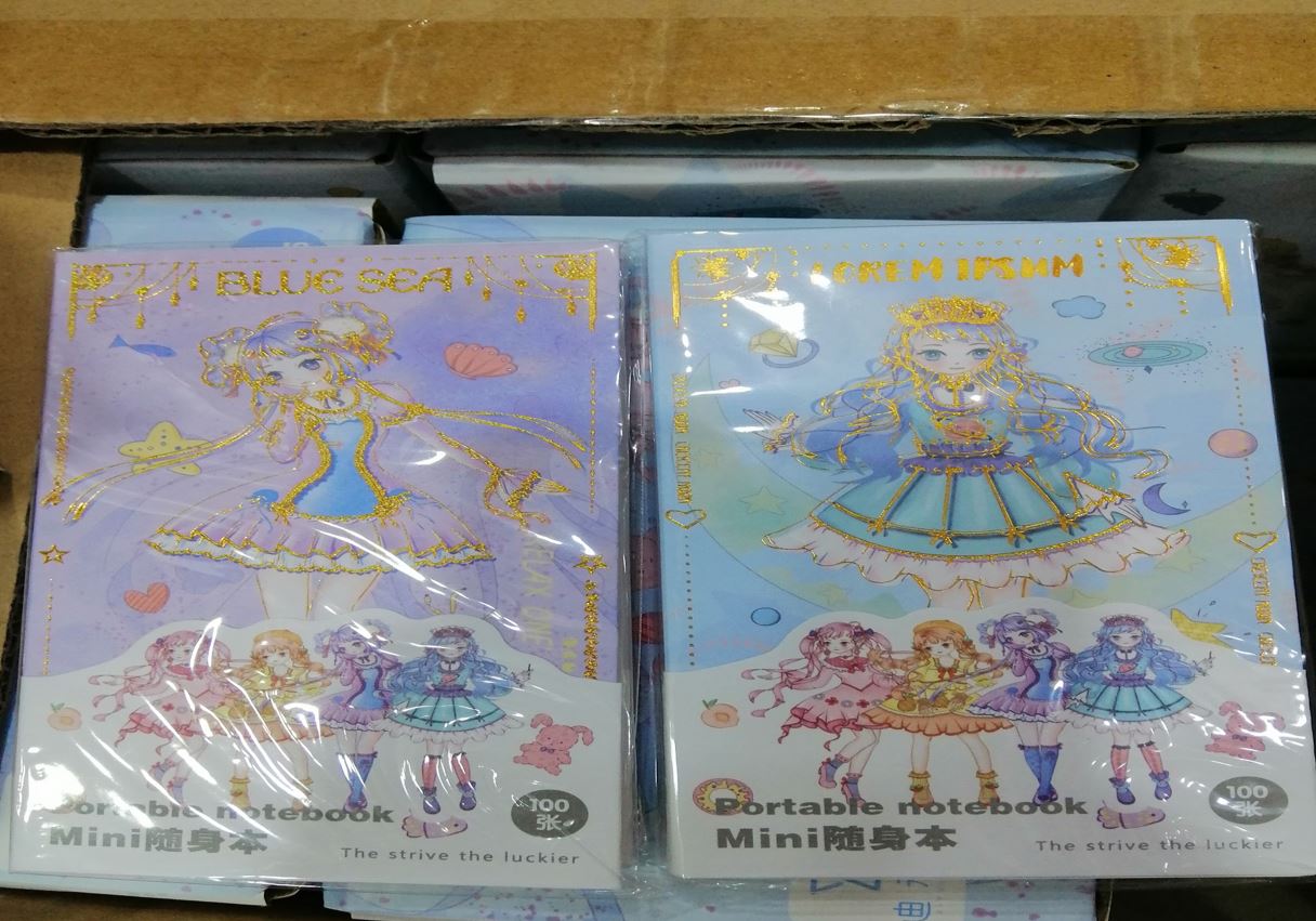 portable mini notebook beautiful girl
